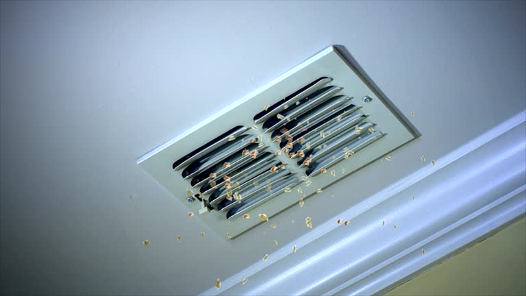 Best Local Air Duct Cleaning Services  in Binghamton, NY