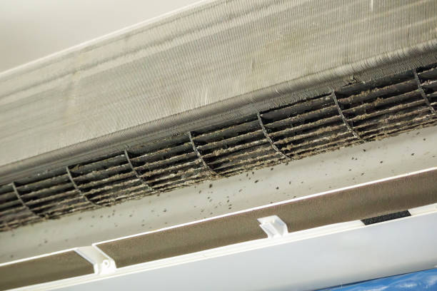 Best HVAC Duct Inspection Services  in Binghamton, NY